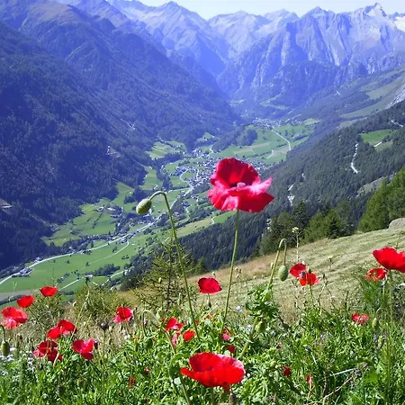 דירה Apartmenthaus Innerkratzerhof