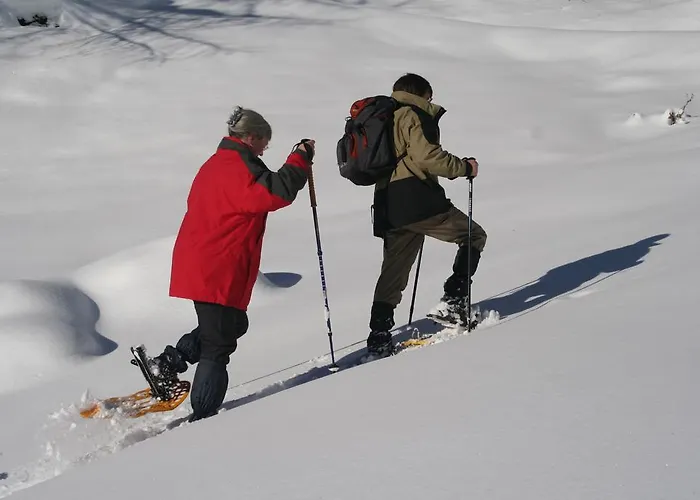 Appartement Apartmenthaus Innerkratzerhof Prägraten